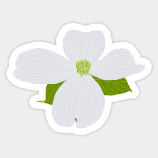 Dogwood Bloom Sticker